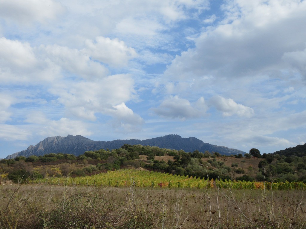 vue sur Monte Sus Nidos et Monte Corrasi