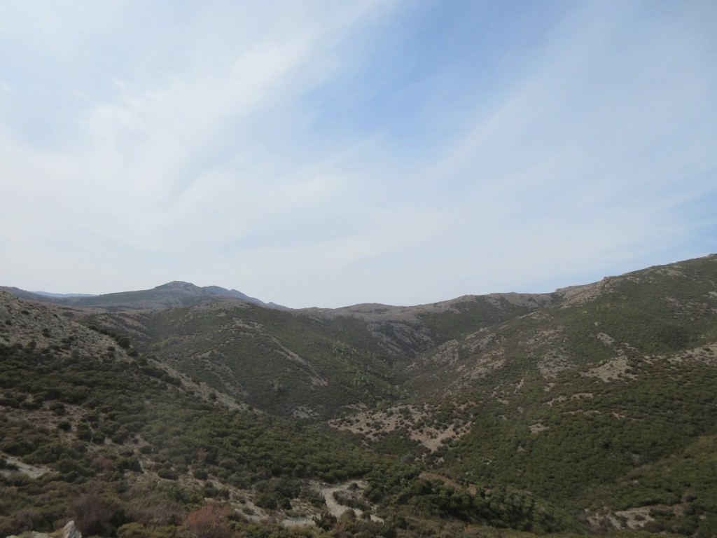 #6 rien en vue de ce côté rien en vue de ce côté
