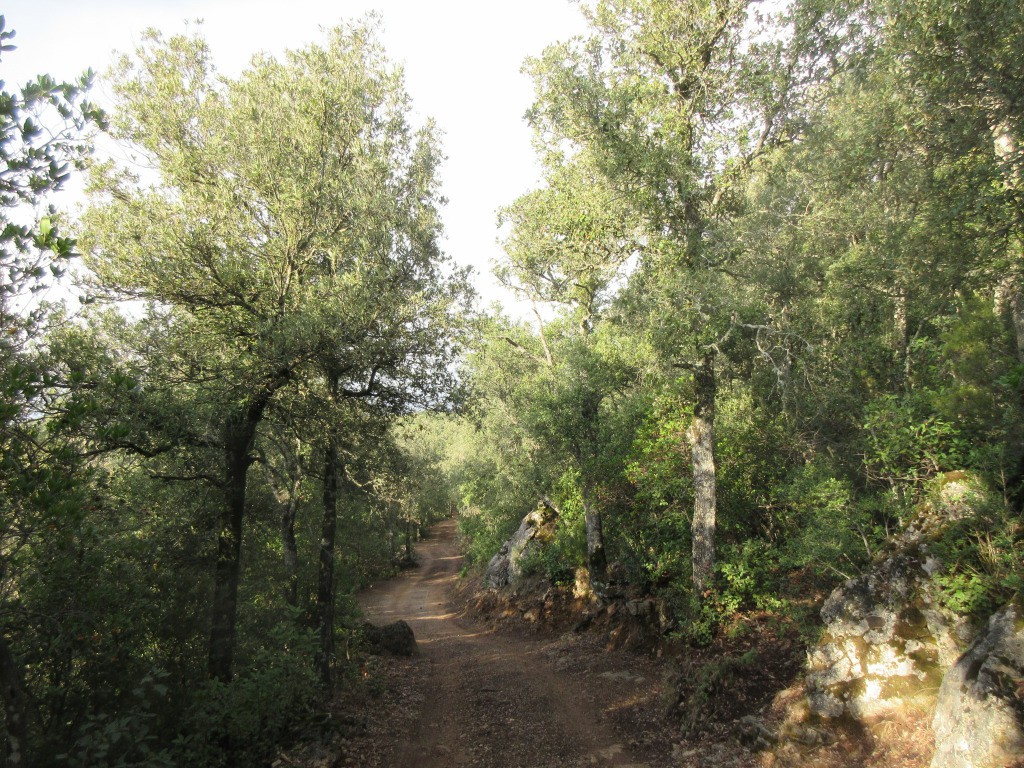 #10 descente sur Ulassai descente sur Ulassai