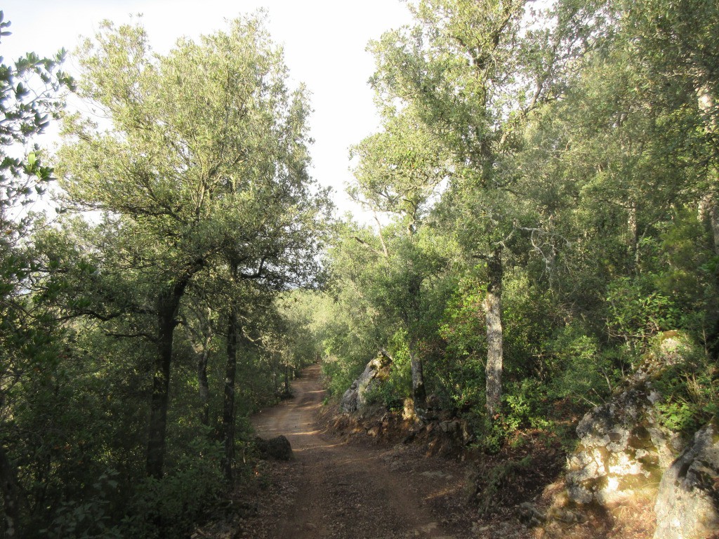 descente sur Ulassai