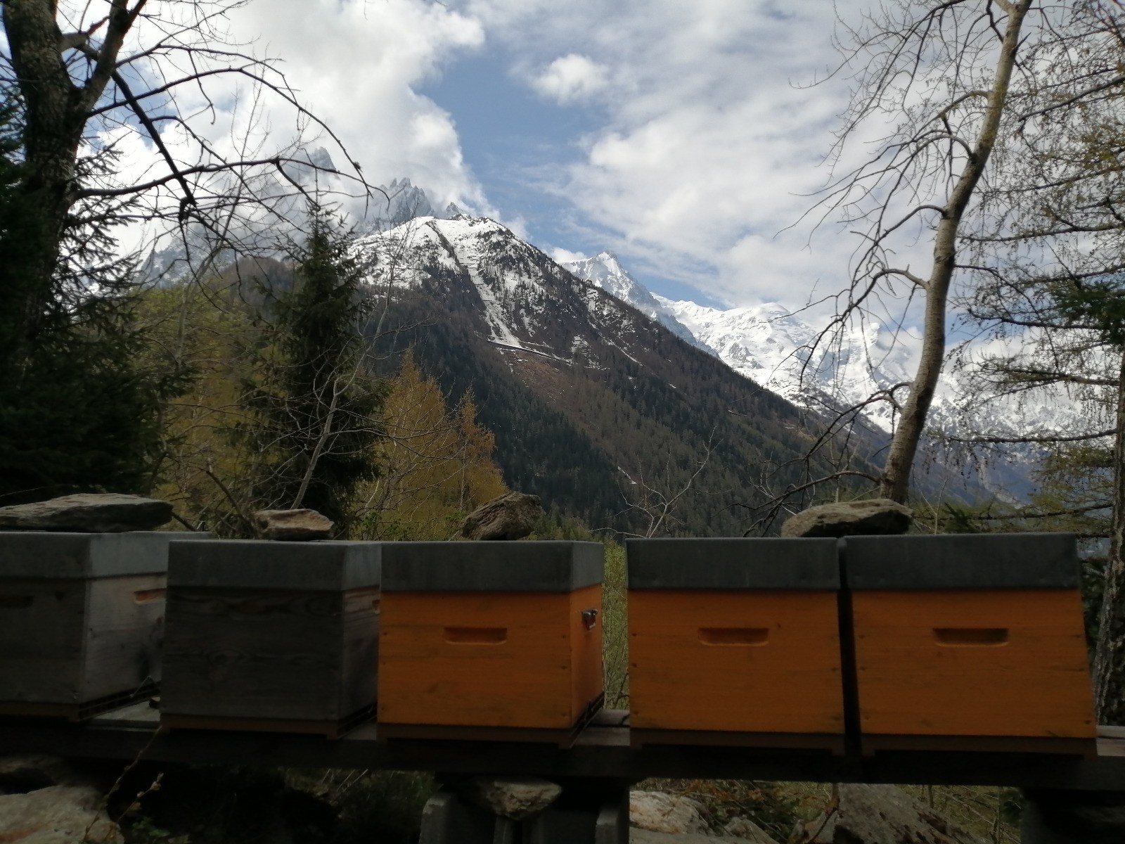 Montée à la buvette du Chapeau