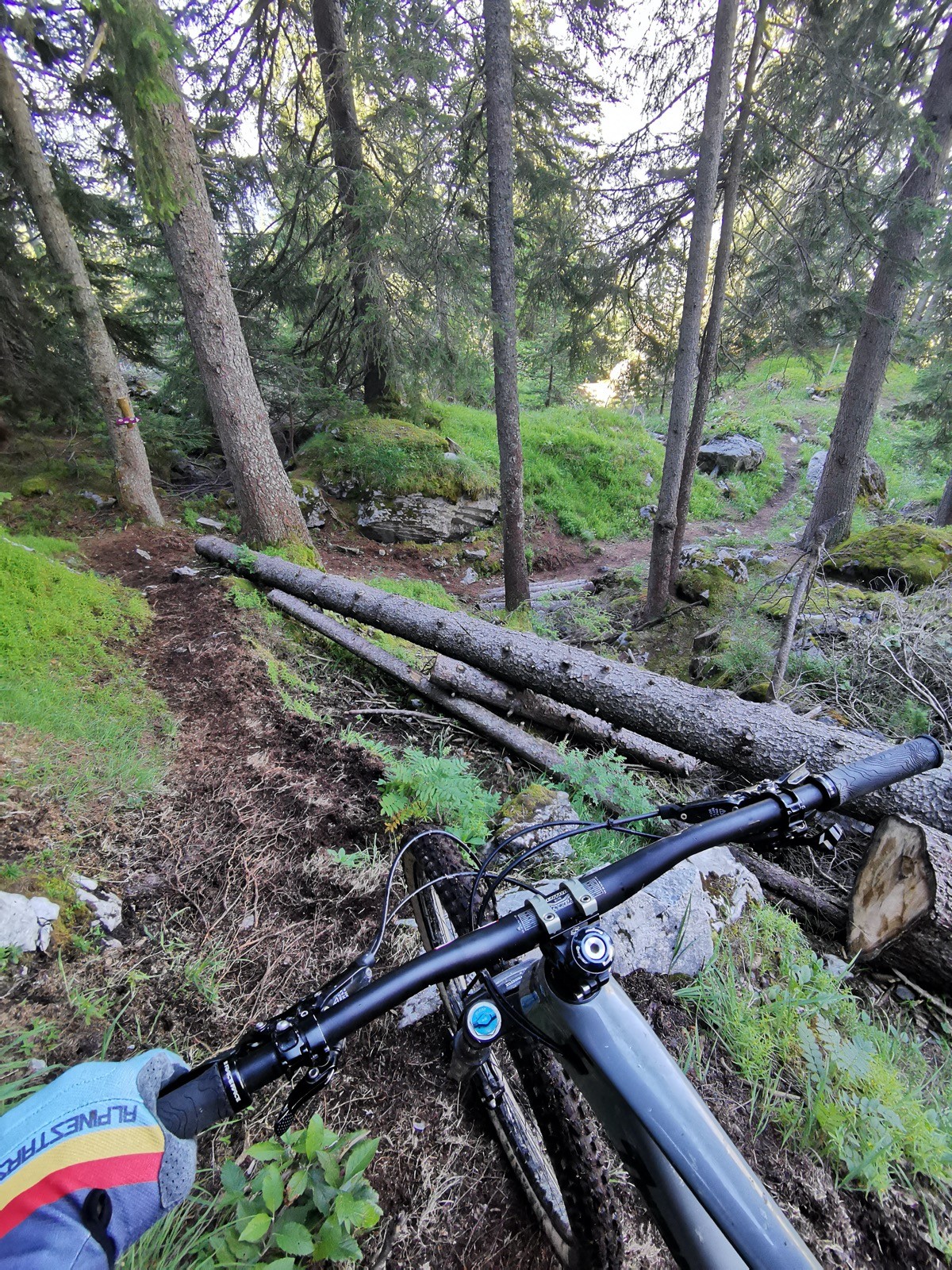 Sentier piéton sur Plaine Joux