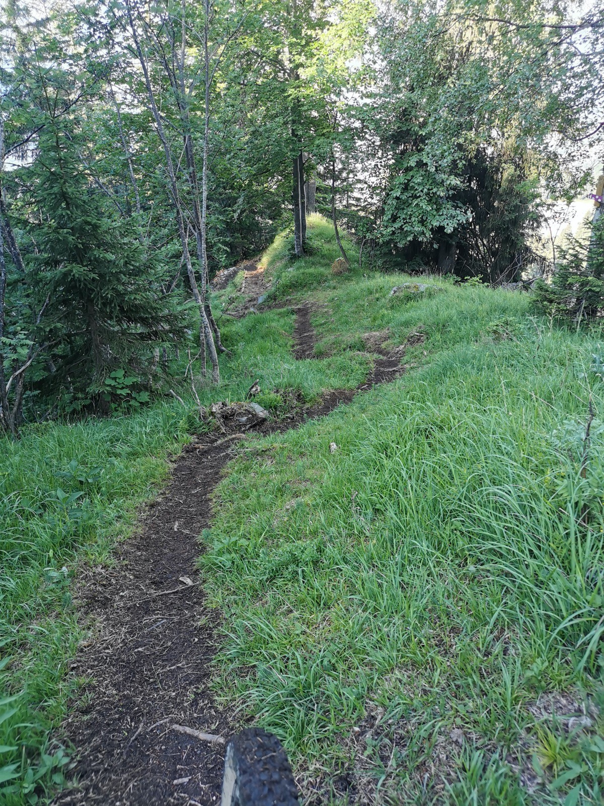 Sentier piéton sur Plaine Joux