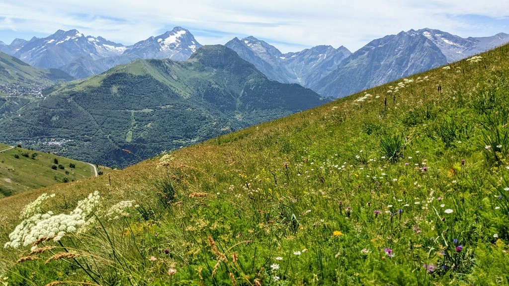 Alpages et belles montagnes #2