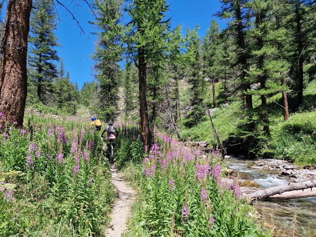 Vallée de la clarée après Névache