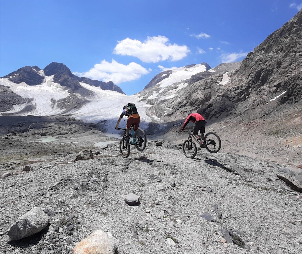 #12 Synchronisation noses sous le col des Quirlies Synchronisation noses sous le col des Quirlies