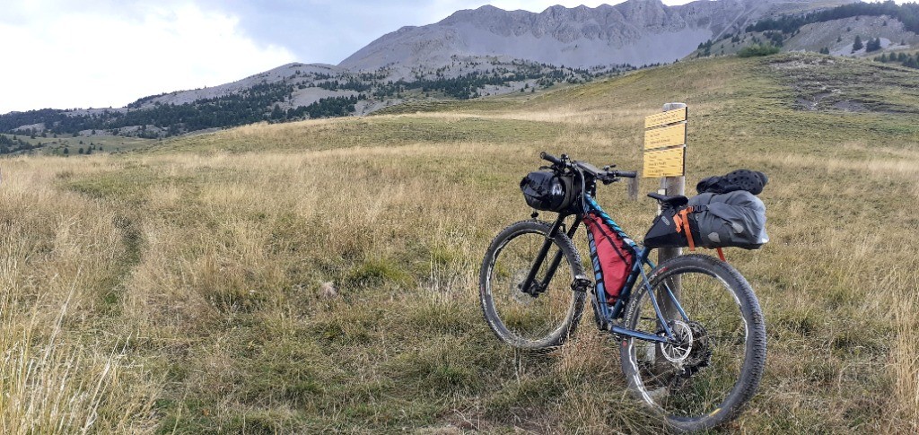 #12 Cime de pal Cime de pal