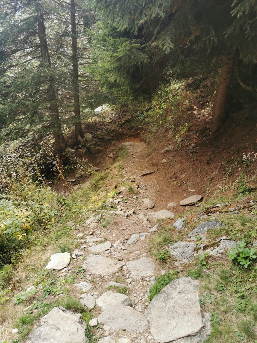 #10 Descente vers Laya Descente vers Laya