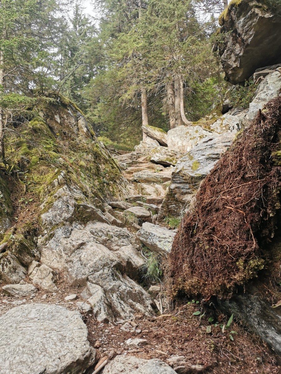 #15 Descente vers Laya Descente vers Laya