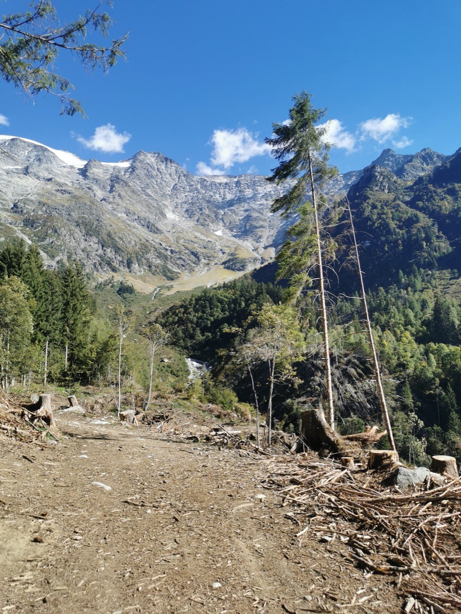 #1 Vers la passerelle Vers la passerelle