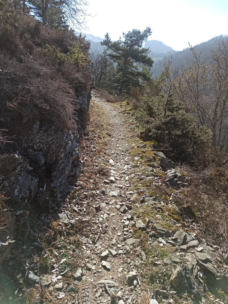 #1 Montée au Signaraux Montée au Signaraux