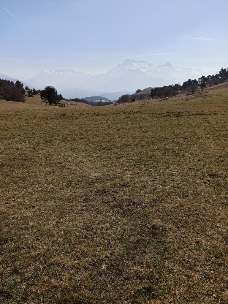 #2 Temps pas très clair, pollution? Temps pas très clair, pollution?