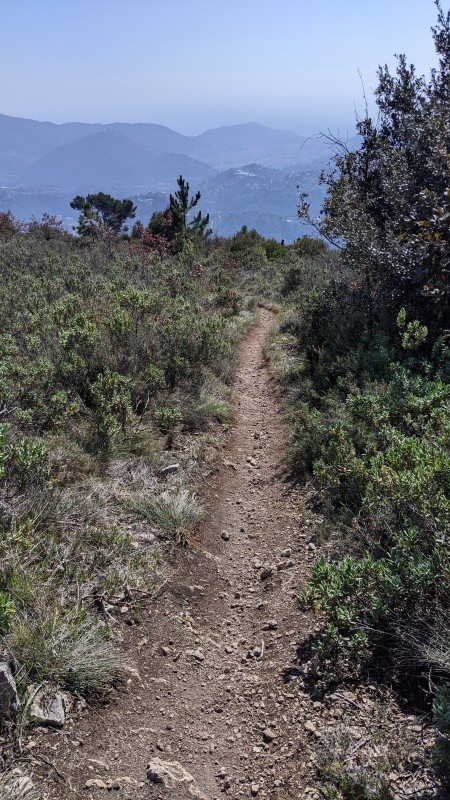 #4 planeur 1 planeur 1