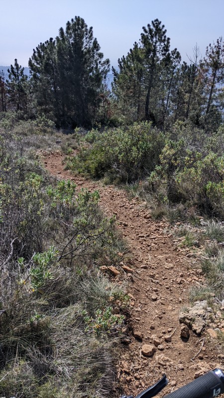 #6 caussimagne caussimagne