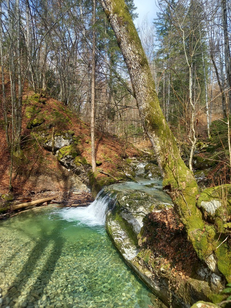 #3 Cozon magnigique Cozon magnigique