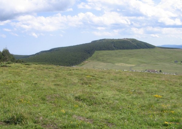 #7 boutieres : Chemin du retour vers la Croix des Boutières. boutieres : Chemin du retour vers la Croix des Boutières.