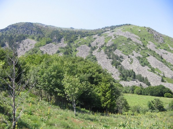 #2 Versant est du Mézenc : Versant est du Mézenc avec petit couloir à faire en rando :) Versant est du Mézenc : Versant est du Mézenc avec petit couloir à faire en rando :)
