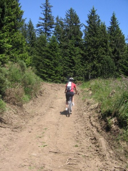#3 piste : Un peu de piste piste : Un peu de piste
