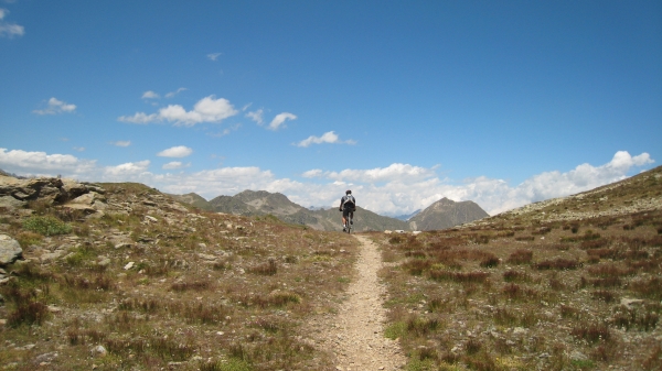 Couleurs du Sud : Envoutant