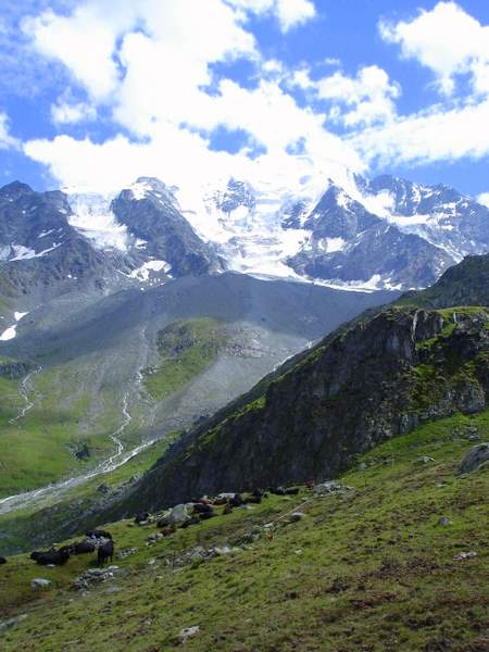 Face N du Pt Combin : Au pied de la face N du Pt Combin à Pindin