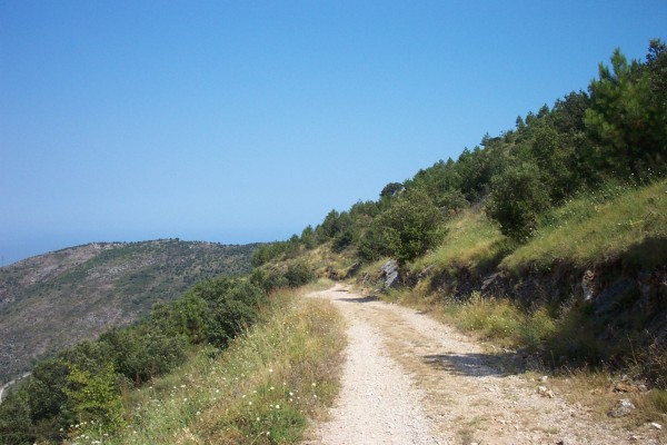 #5 Début de la descente : Le début de la descente se déroule sur une piste bien rapide ! Attention tout de même... Début de la descente : Le début de la descente se déroule sur une piste bien rapide ! Attention tout de même...