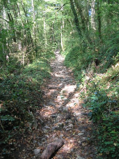 #4 Combe forestière : Passage à l Combe forestière : Passage à l'ombre bien appréciable