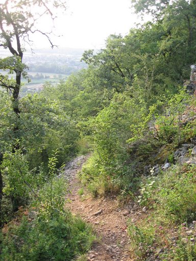 #8 Single au-dessus de Serrière : La photo écrase qlq peu la pente Single au-dessus de Serrière : La photo écrase qlq peu la pente