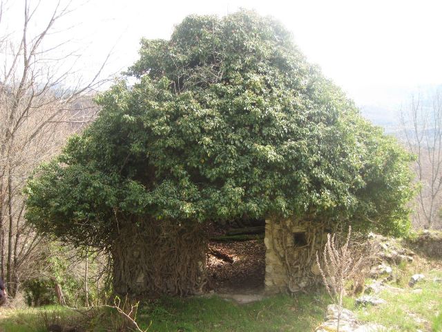 #4 Hameau du Serre : J Hameau du Serre : J'suis sûre qu'il y a des schtroumphs cachés là-dedans !
