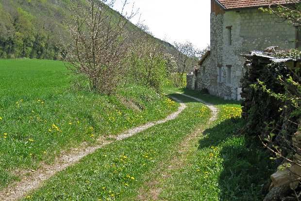 #9 Vovray : la piste qui mène à chaumontet Vovray : la piste qui mène à chaumontet