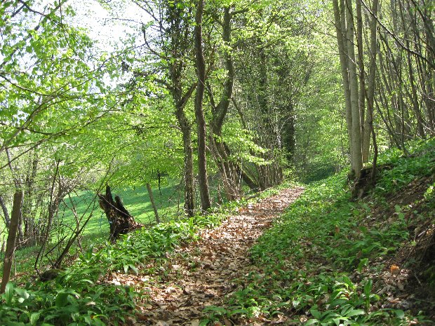 #14 Cortagy : le chemin qui mène aux Baraques Cortagy : le chemin qui mène aux Baraques
