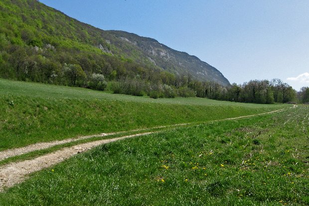 #8 vuache versant sud : Sur la piste qui mène à vovray vuache versant sud : Sur la piste qui mène à vovray