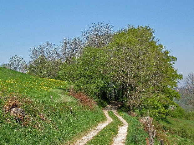 #13 Cortagy : le chemin qui mène à Cortagy Cortagy : le chemin qui mène à Cortagy