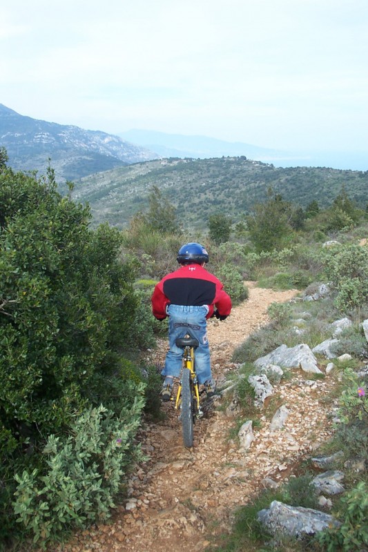 #5 Sentier botanique : Timothée est concentré sur sa trajectoire. Sentier botanique : Timothée est concentré sur sa trajectoire.