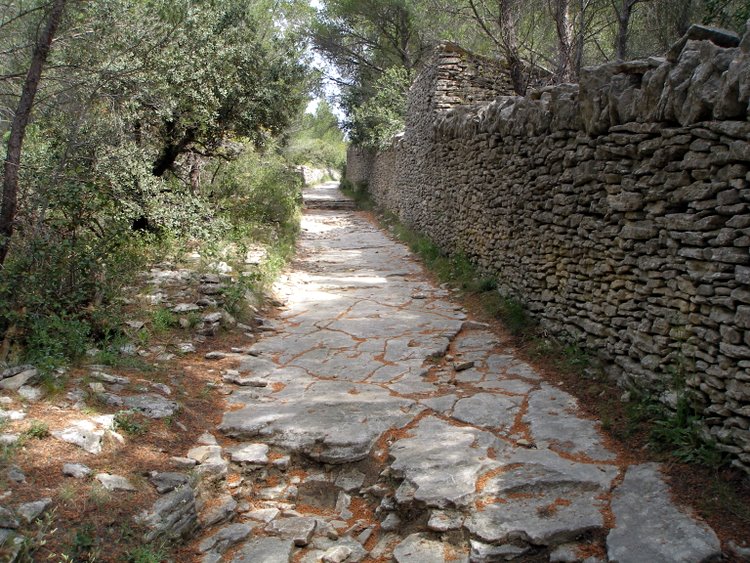 #2 Dallage naturel : Le chemin au dessus de Soleillants Dallage naturel : Le chemin au dessus de Soleillants