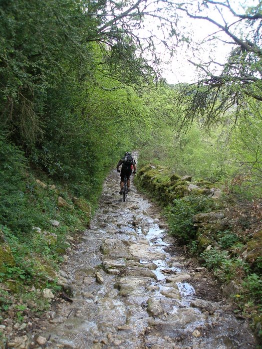 Descente tropicale : Amazonia Luberon