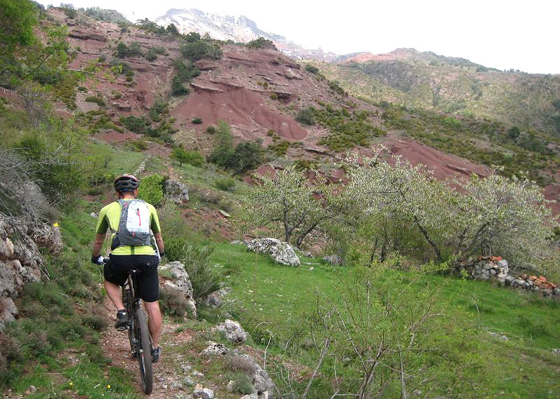 #5 Un peu de vert pour changer : Chercher le seul et unique mélèze du coin... (Non non, c Un peu de vert pour changer : Chercher le seul et unique mélèze du coin... (Non non, c'est pas le machin vert sur la photo ;-) )