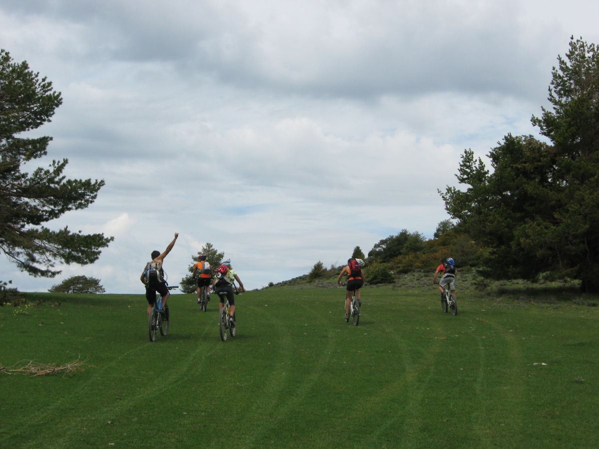 #9 Spot a pic nique : Ouf un peu de verdure dans cette chaleur ! Spot a pic nique : Ouf un peu de verdure dans cette chaleur !