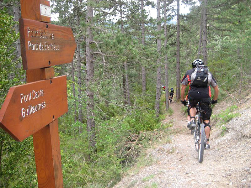 #2 départ du single : ça commence sous les pins... départ du single : ça commence sous les pins...