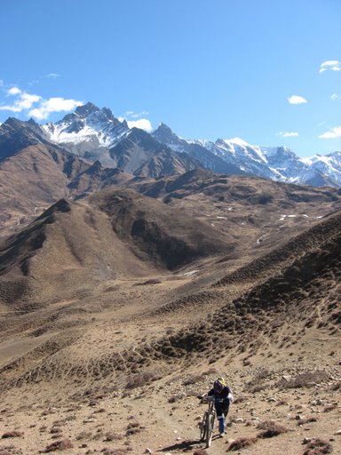 Montée au collet : Ca pousse