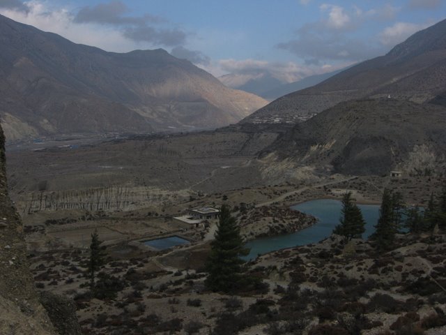 Lac de Marpha : Superbe lac avec pour une fois de la végétation !