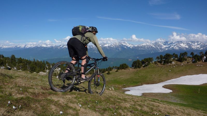 #4 Roule sur les fleurs : C Roule sur les fleurs : C'est sympa le printemps !