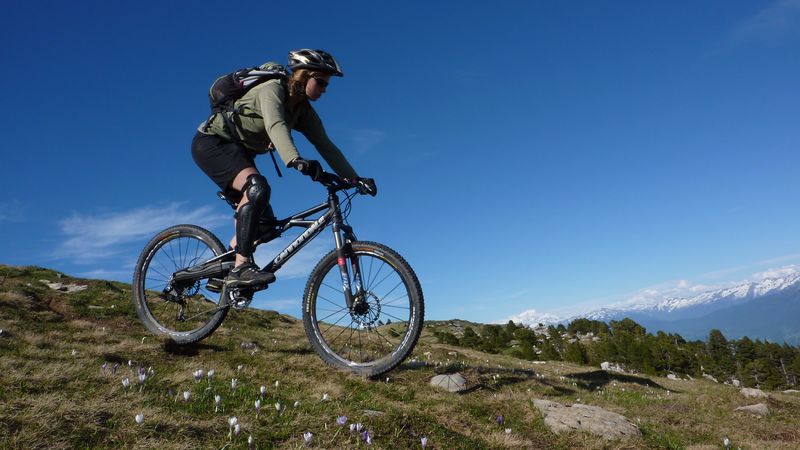 #3 Descente sur fleurs : et paysage printanier Descente sur fleurs : et paysage printanier