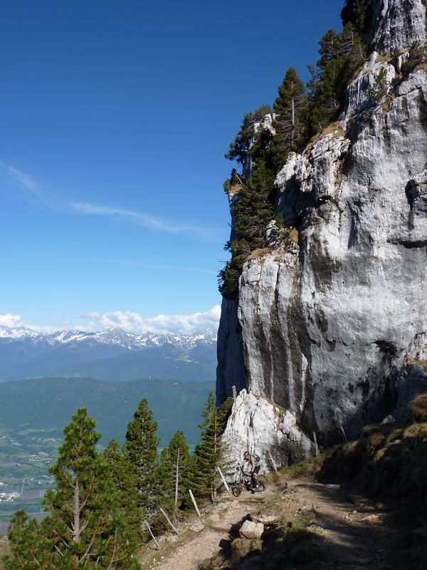 #7 Les choses sérieuses : Là c Les choses sérieuses : Là c'est plus des petites fleurs, mais plutôt des grosses pavasses