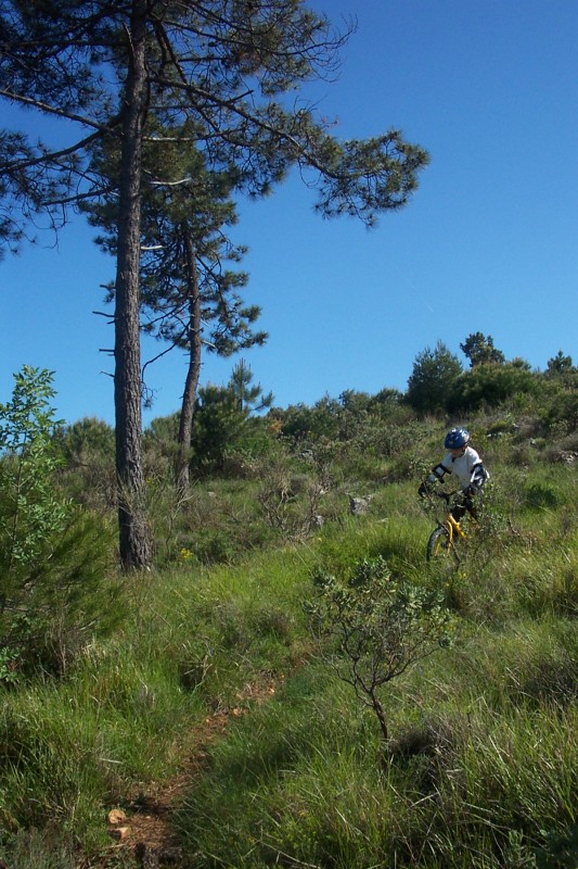 #5 Monotrace dans la garrigue : Quel paradis Monotrace dans la garrigue : Quel paradis