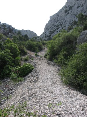 #7 Descente sur Fontaine de Voire : Le sentier à la descente, enfin c Descente sur Fontaine de Voire : Le sentier à la descente, enfin c'est un pierrier, qui devrait être interdit même pour les marcheurs avec le Parc, mais le GIP se garde bien de le dire dans leurs "interdictions"... histoire de ne pas trop