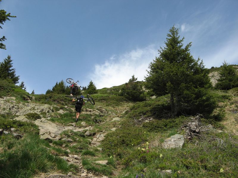#1 Portage : Verdure et tites fleurs Portage : Verdure et tites fleurs