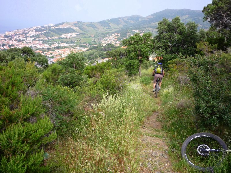 Banyuls : Banyuls dans quelques minutes !