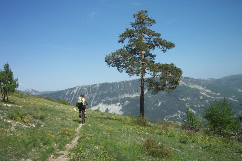 Départ du Chalvet : Ambiance bucolique sous le Chalvet