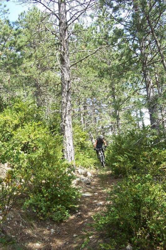 #13 ST du Villard (part. basse) : Portion roulante ST du Villard (part. basse) : Portion roulante