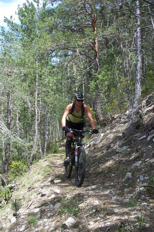 Sentier du Seuil : Entre les épingles, les sections sont très ludiques et rapides. Zigual ne dira pas le contraire...